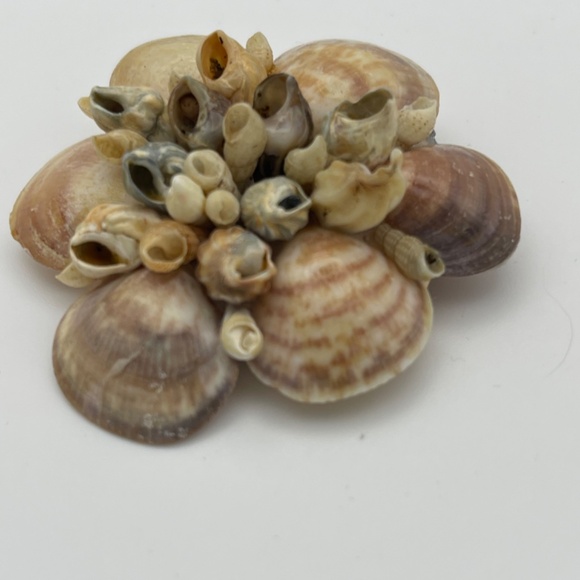 Vintage Real Sea Shell And Mother Of Pearl Jewelry Bracelet Brooches - Picture 11 of 11